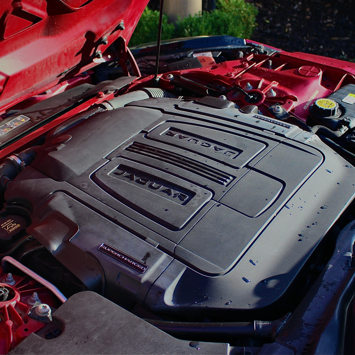 Jaguar F-Type injector savers – Arid innovation